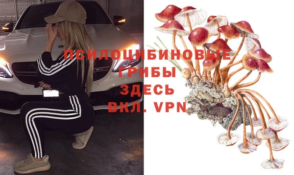 ALPHA-PVP Майский